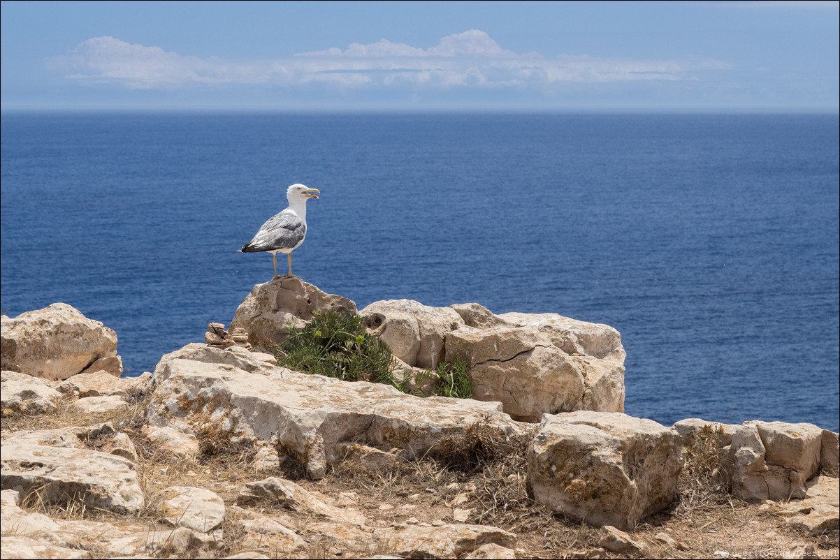 ibiza eiland Formentera