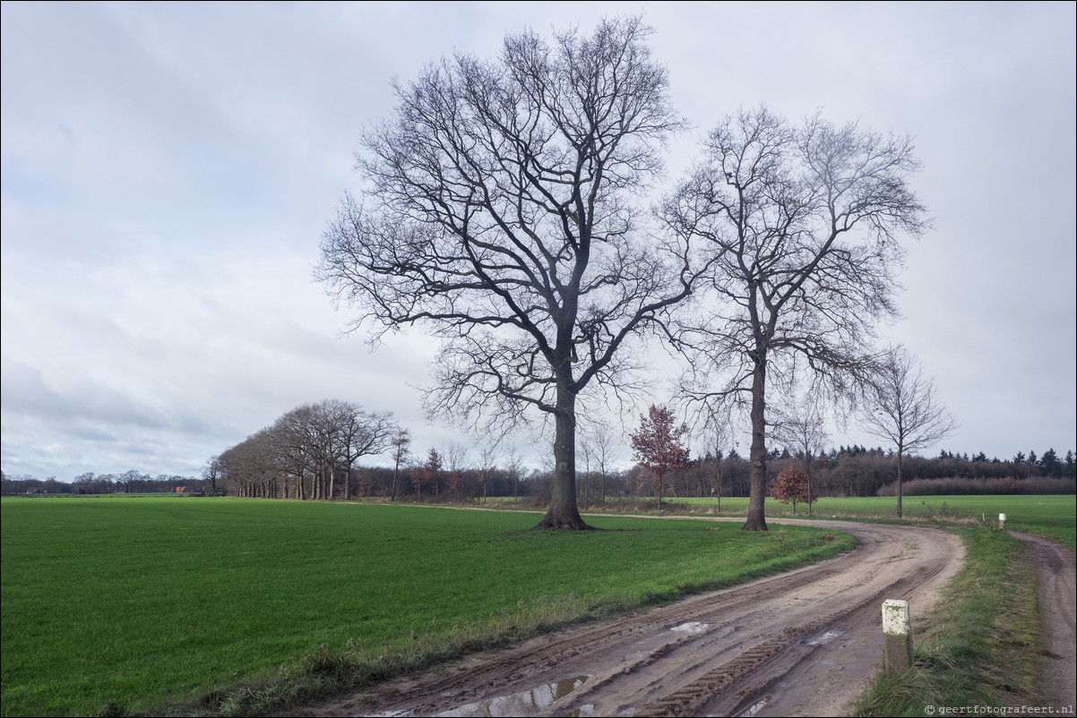 Rondom NL: Grenspad DE: Winterswijk - Aalten