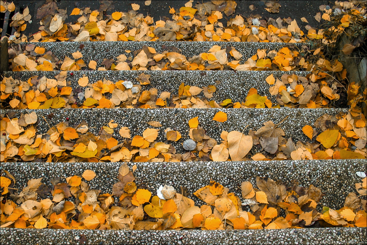 herfst bladeren trap