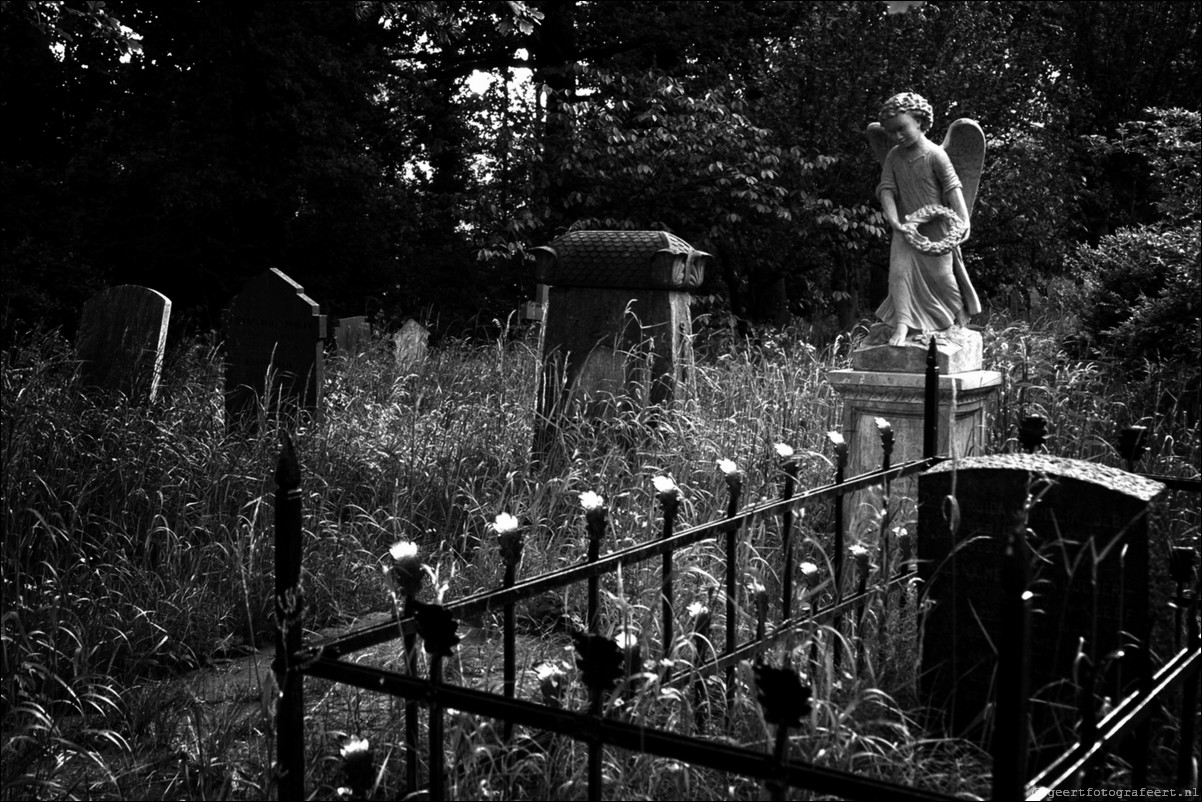 Leiden begraafplaats Groenesteeg