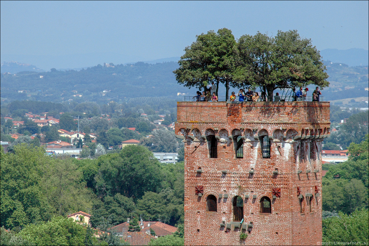 Lucca: Torre dei Guinigi