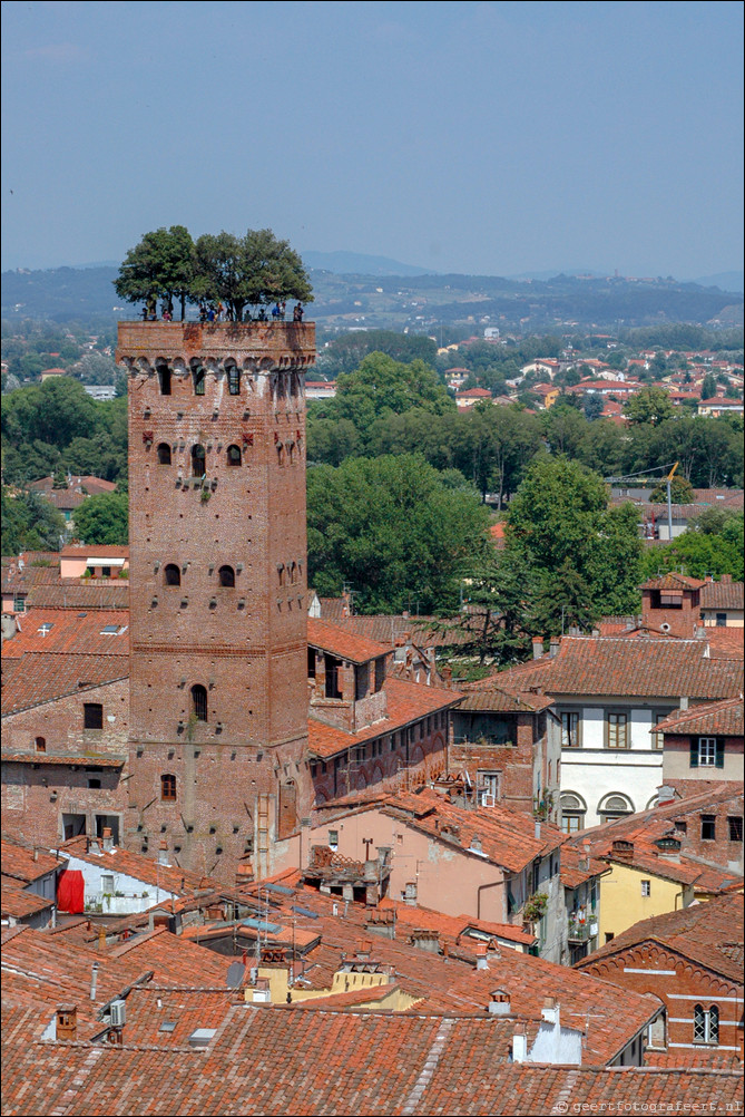 Lucca: Torre dei Guinigi