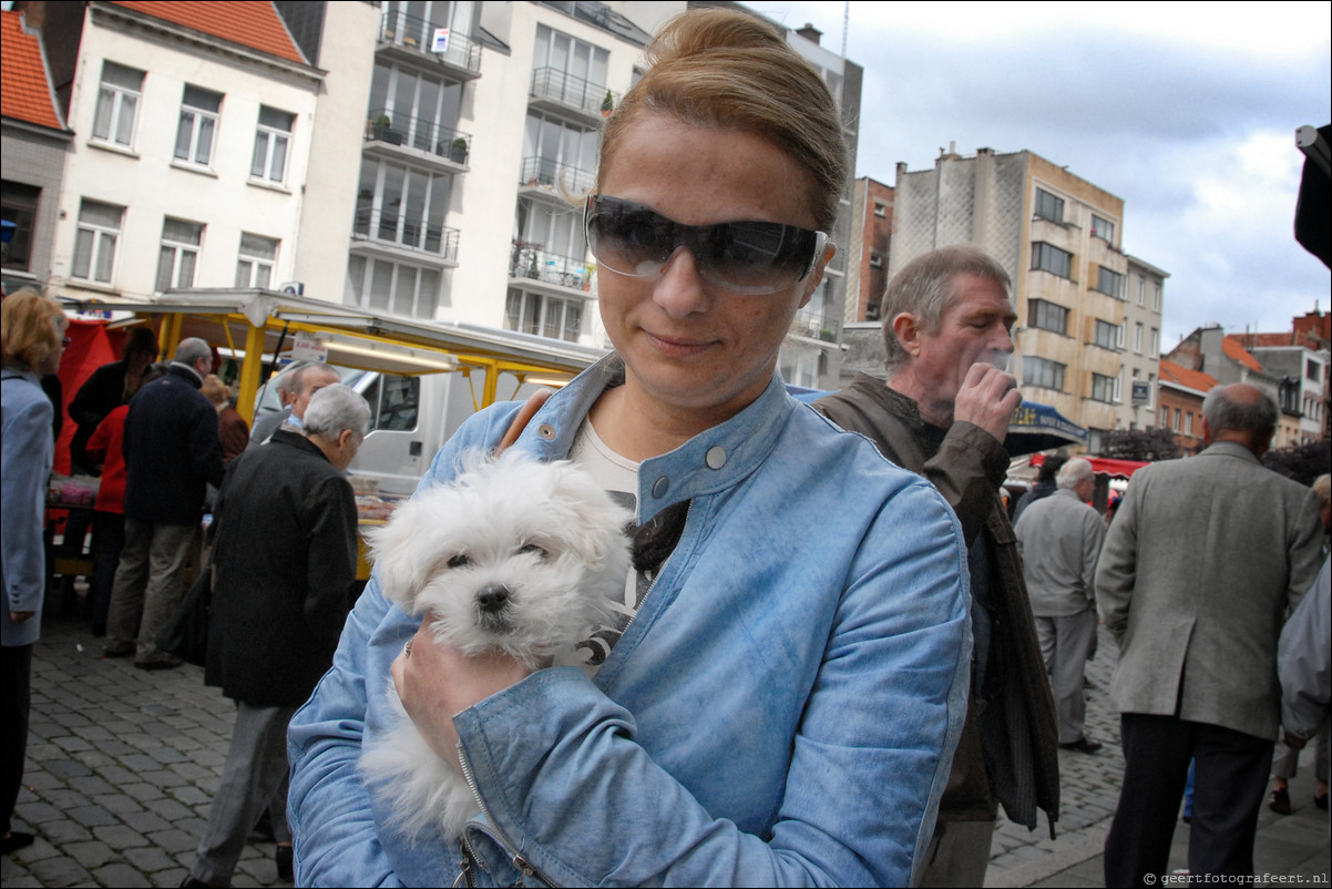 Antwerpen hondjes