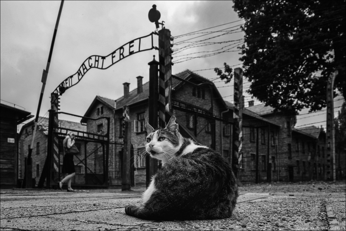 Auschwitz & Birkanau