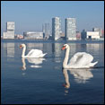 almere skylines