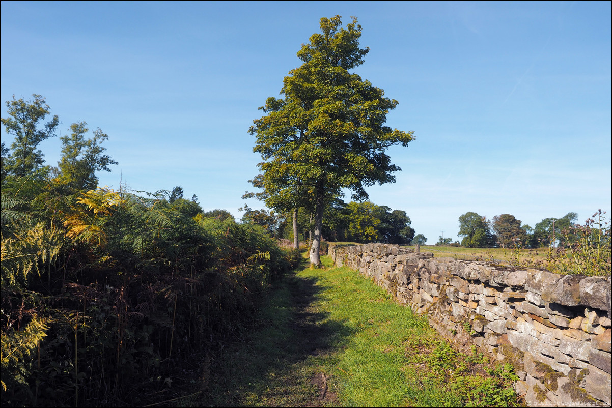 Hadrian Wall Walk -  Muur van Hadrianus Haddon-on-the-Wall - Chollerford