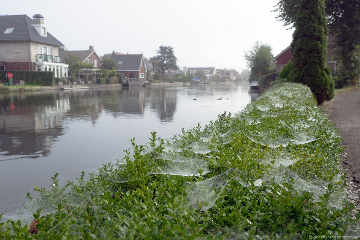 Limes : Alphen aan de Rijn - Woerden