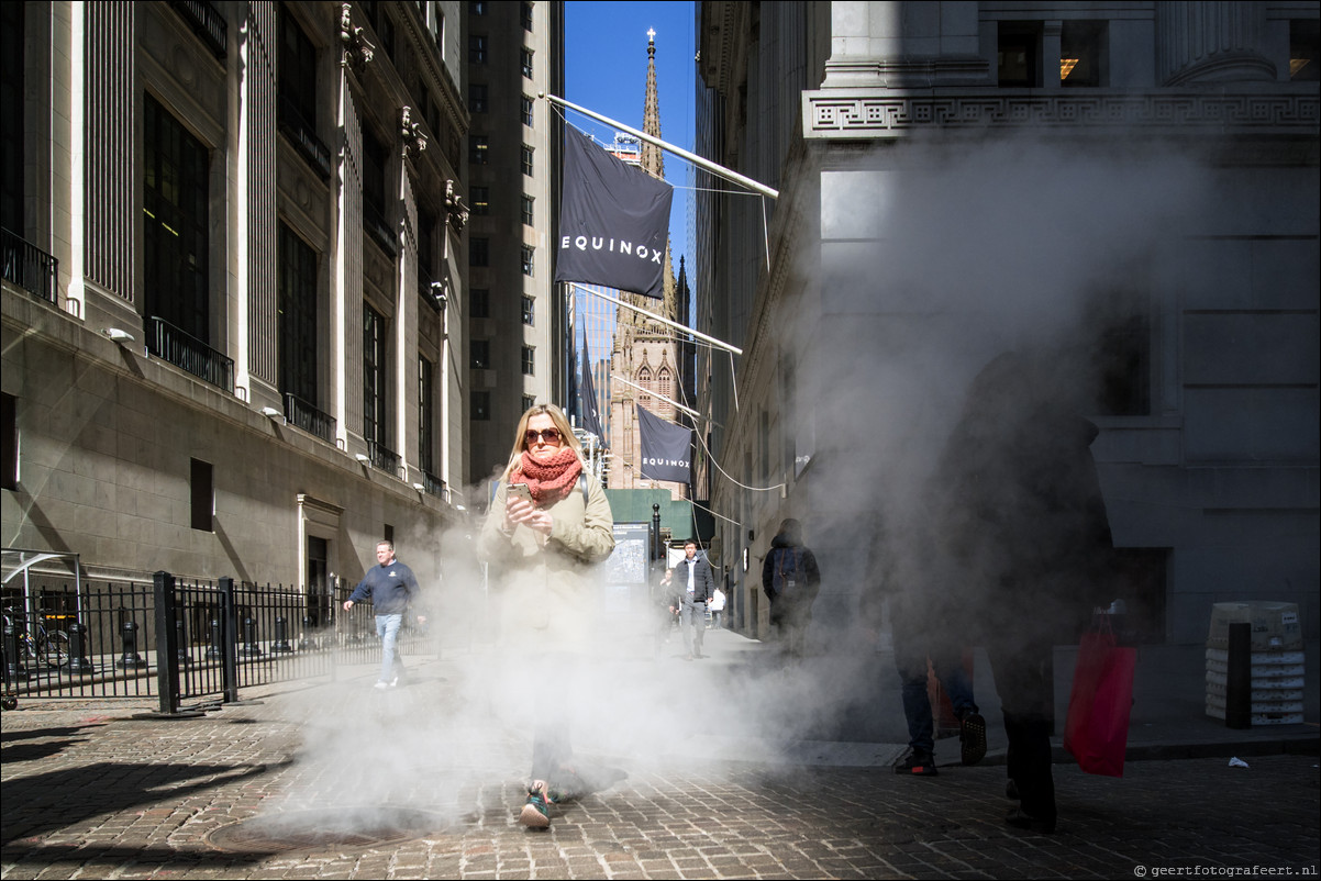 New York Wall street rook