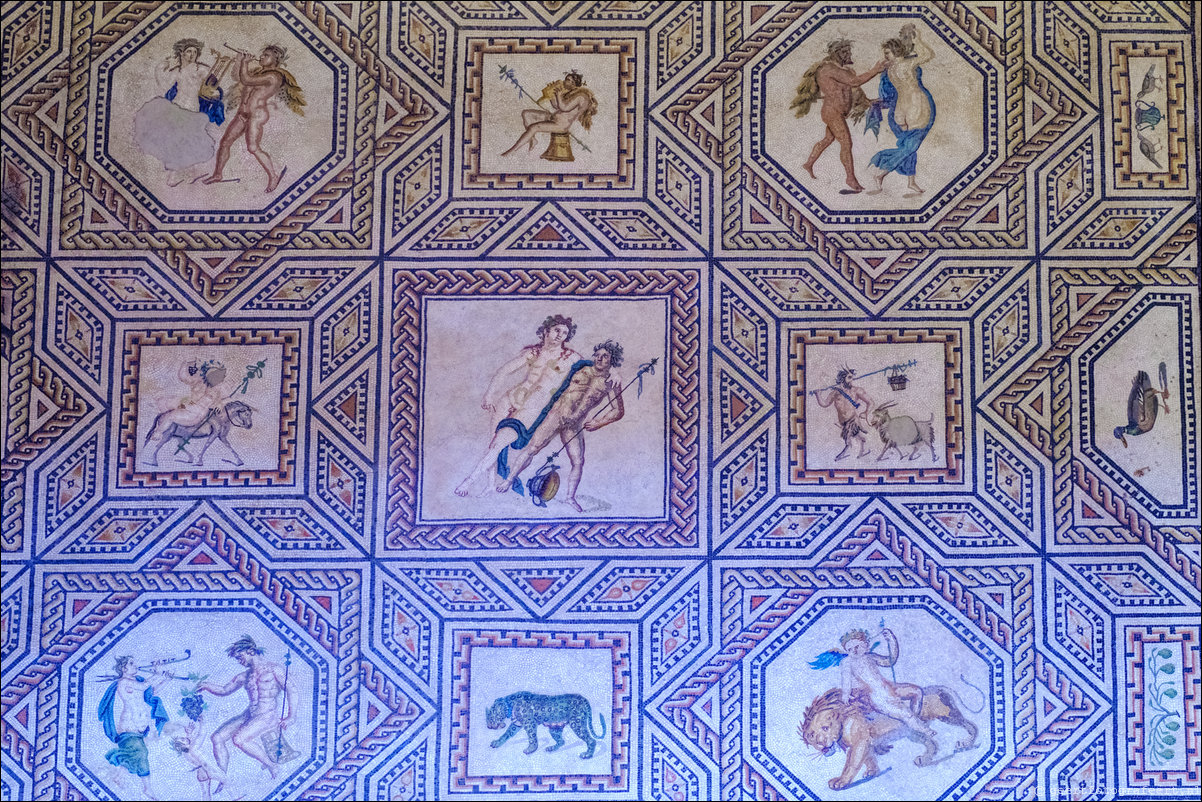 Keulen Romeins Germaans Museum: Dionysos- Mozaiek