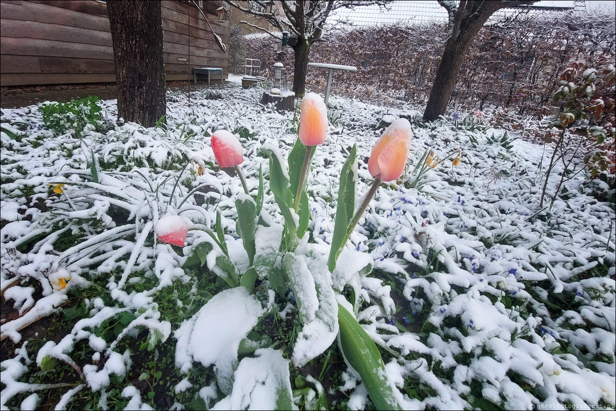 april winter