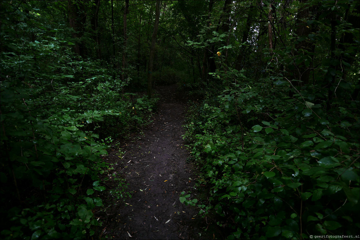 Bussumerheide en de Westerheide