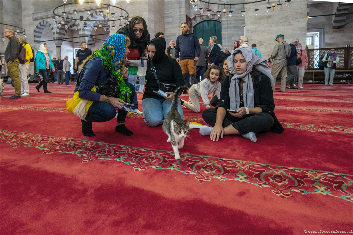 Istanbul Constantinopel Moskee Camii