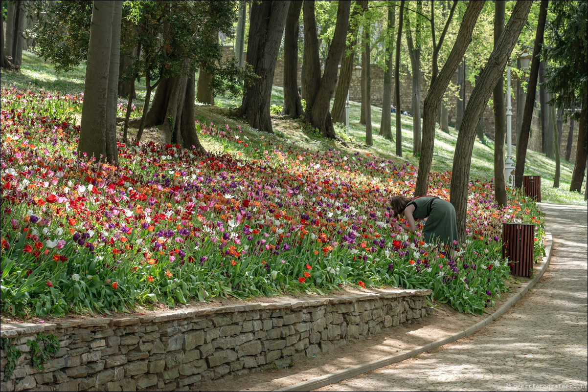 Istanbul Constantinopel Glhane Park