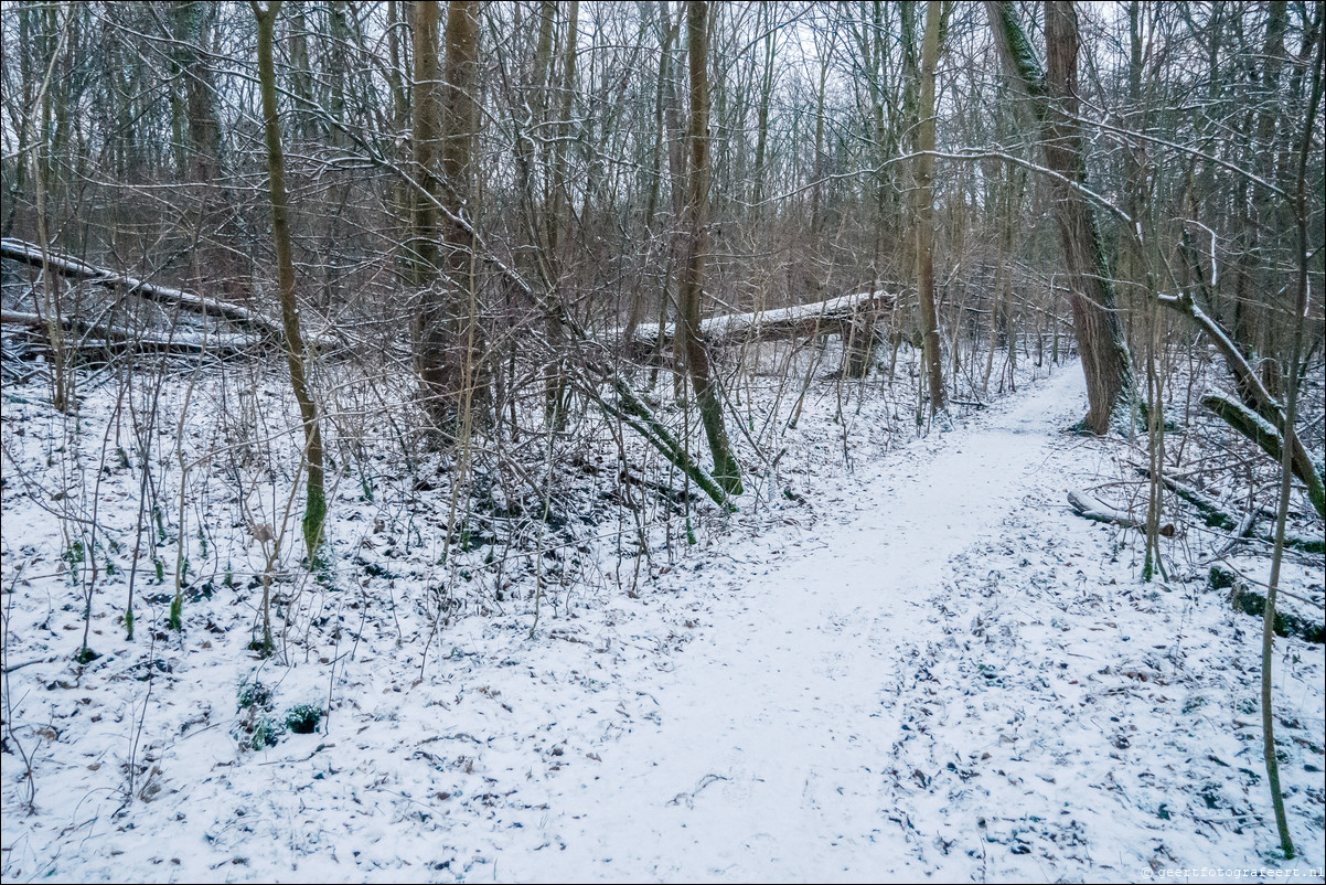 sneeuw Almere