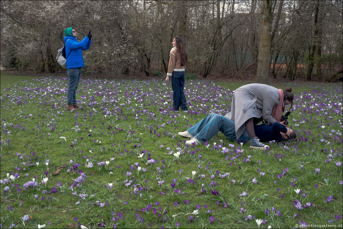 Vondelpark Amsterdam fotoshoot krokussen