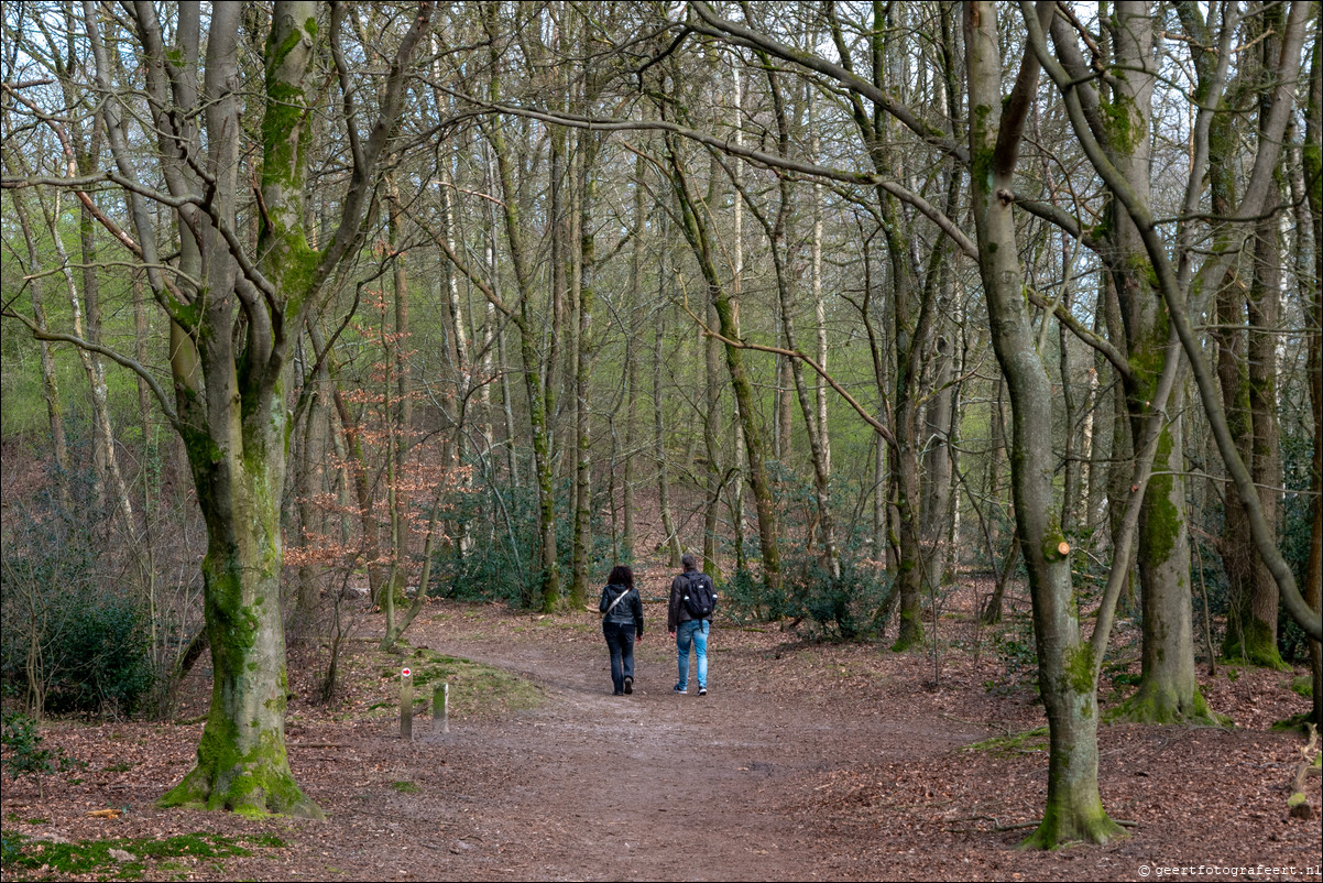 bossen wandeling Laren