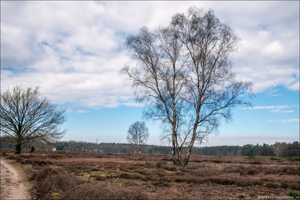 Westerheide nabij Laren