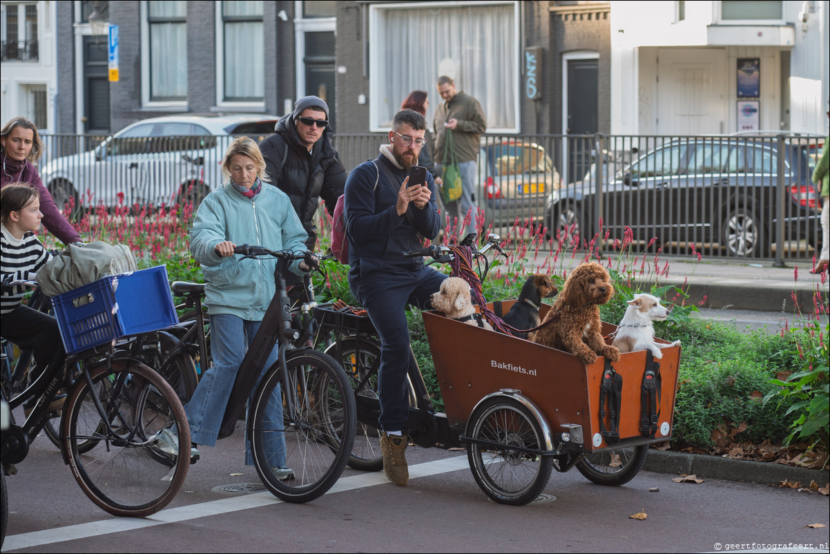 Hond bakfiets Amsterdam