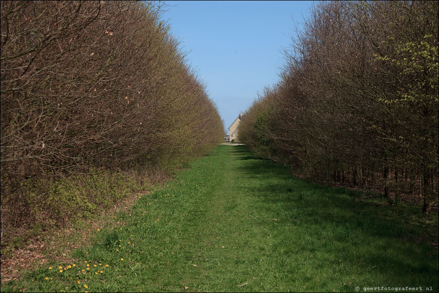 noorderplassen-west