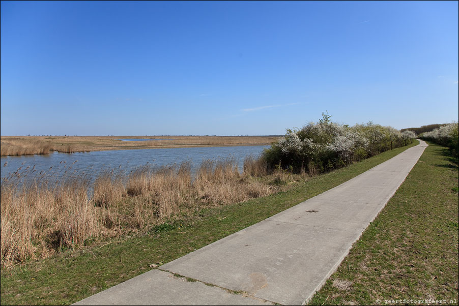 Oostvaardersplassen