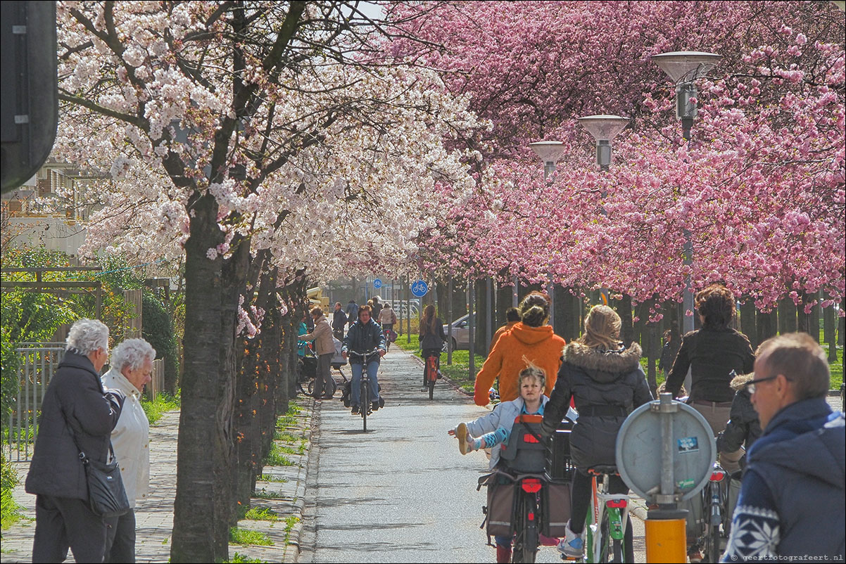 muziekwijk lente