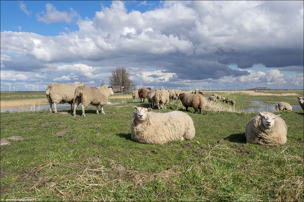 Huizen Spakenburg - zuiderzeepad