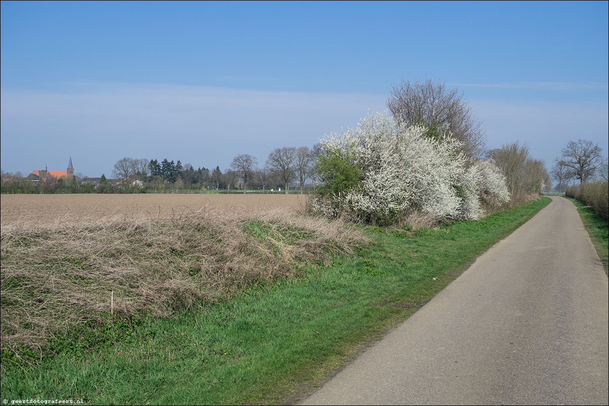 Grenspad: Vierlingbeek - Well - Arcen