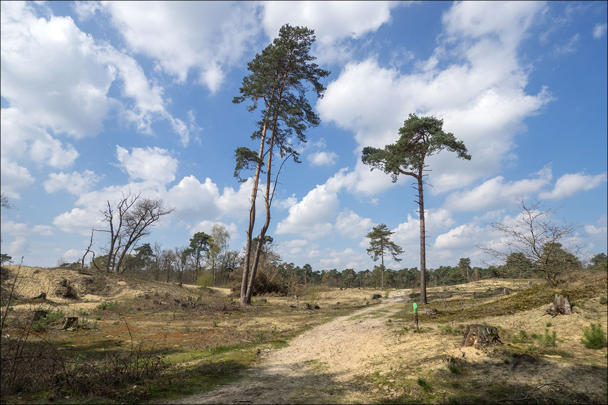 Grenspad: Vierlingbeek - Well - Arcen