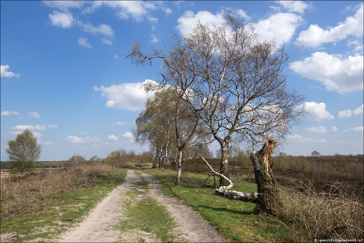 Grenspad: Vierlingbeek - Well - Arcen