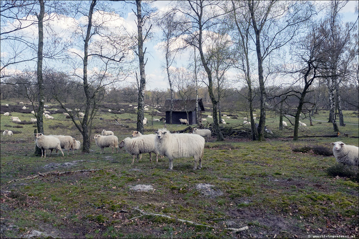 Grenspad: Vierlingbeek - Well - Arcen