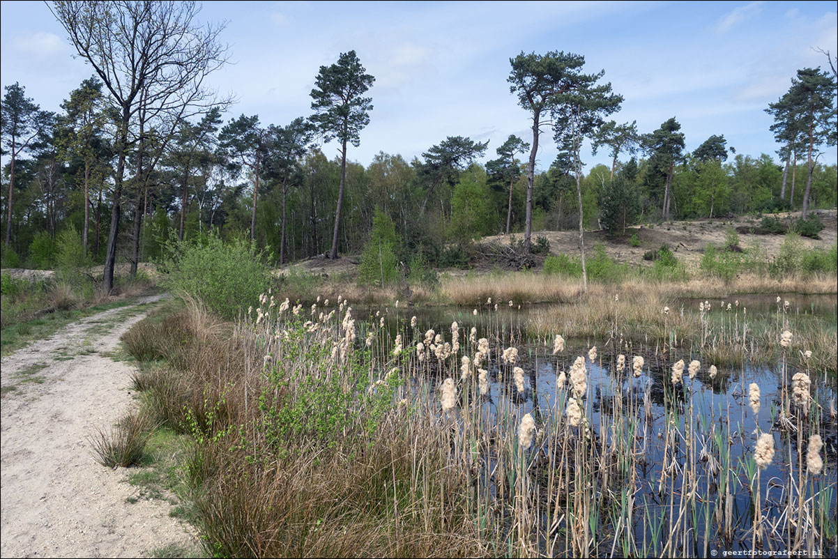 Grenspad: Arcen - Venlo