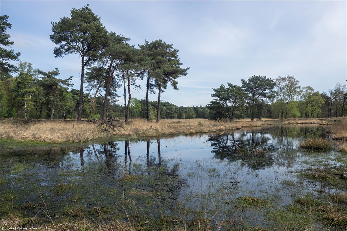 Grenspad: Arcen - Venlo