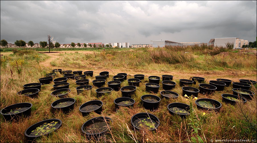 site2f7 almere