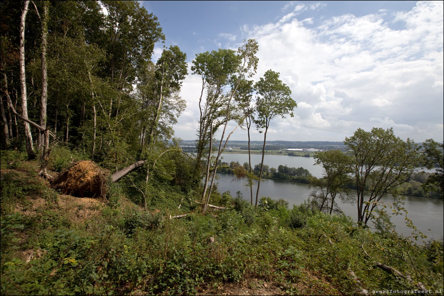 maas panorama