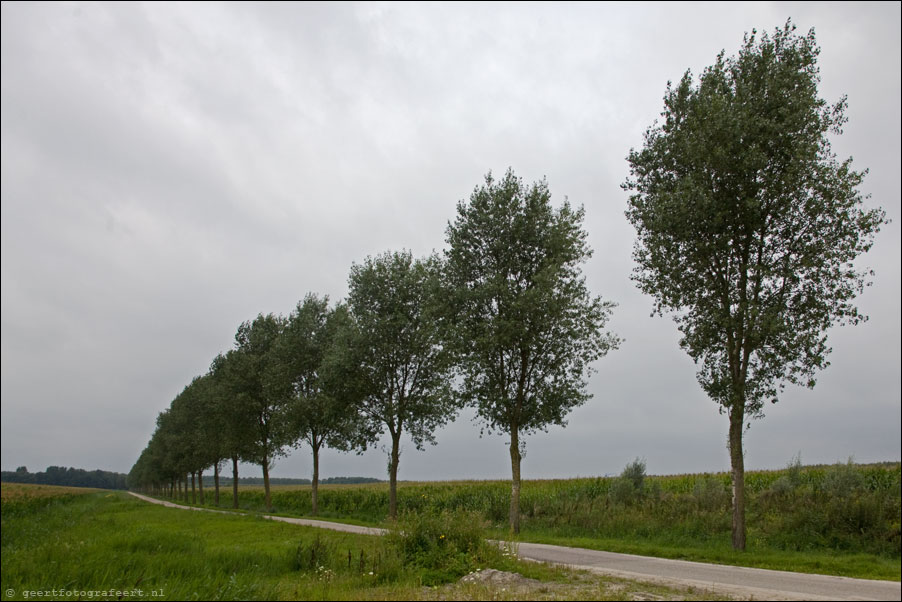 paradijsvogelweg