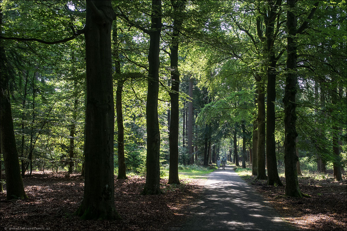 westerborkpad nunspeet vierhouten