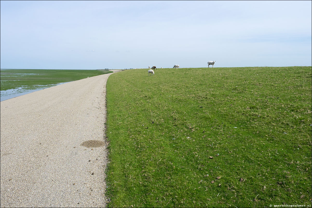 kustpad Holwerd Wierem Moddergat Lauwersoog