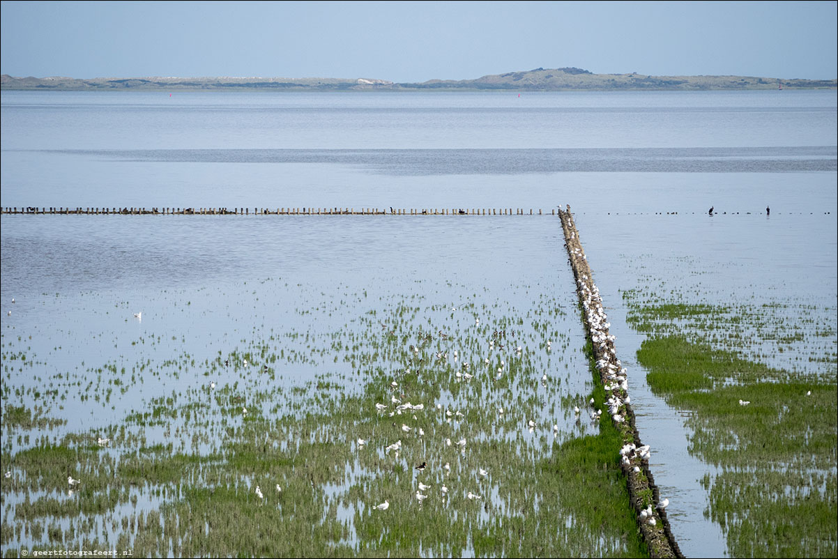 kustpad Holwerd Wierem Moddergat Lauwersoog