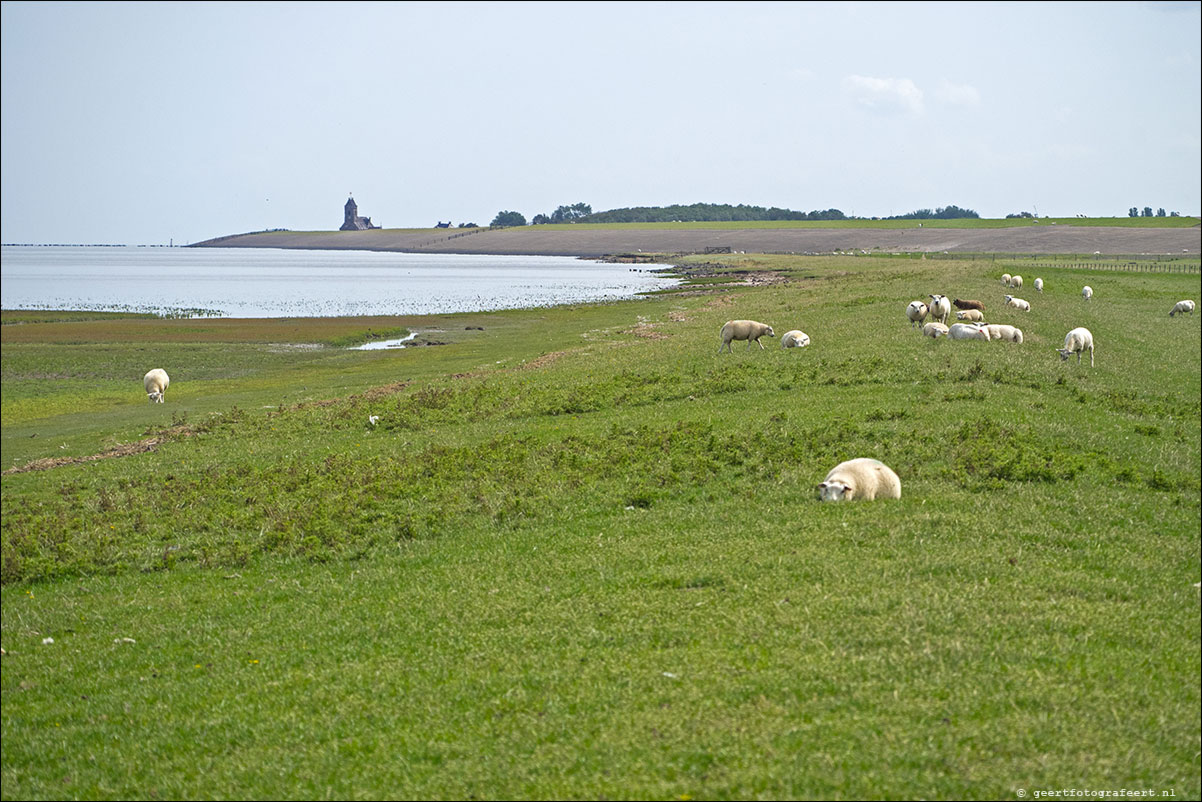 kustpad Holwerd Wierem Moddergat Lauwersoog