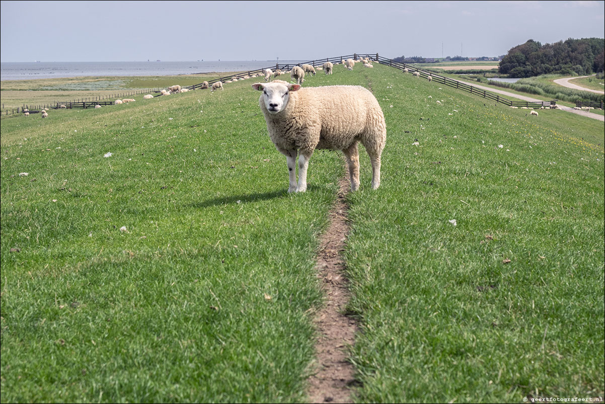 kustpad Holwerd Wierem Moddergat Lauwersoog