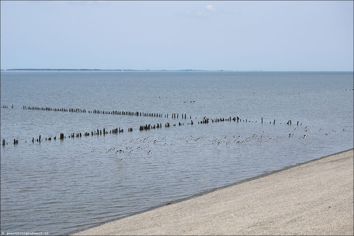 kustpad Holwerd Wierem Moddergat Lauwersoog