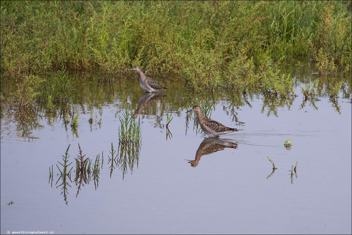 kustpad Holwerd Wierem Moddergat Lauwersoog