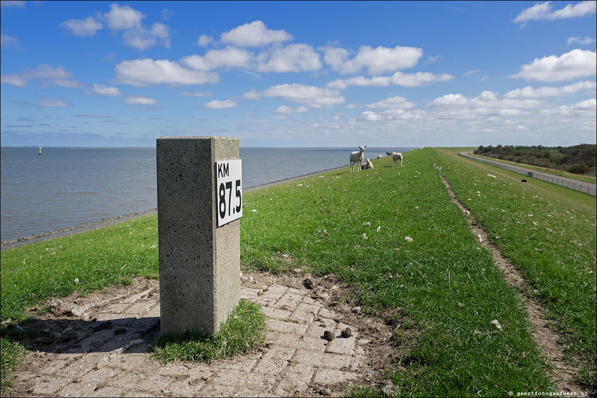 kustpad: lauwersoog - pieterburen - roodeschool