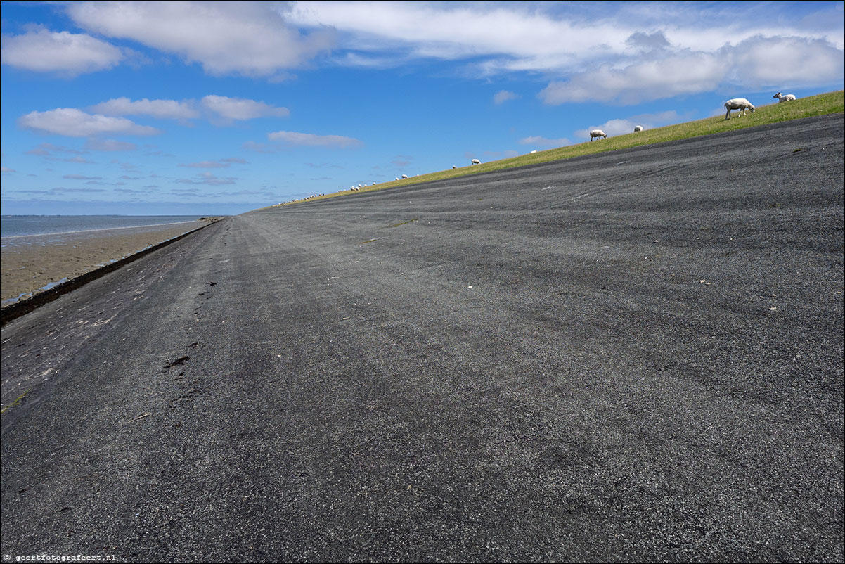 kustpad: lauwersoog - pieterburen - roodeschool