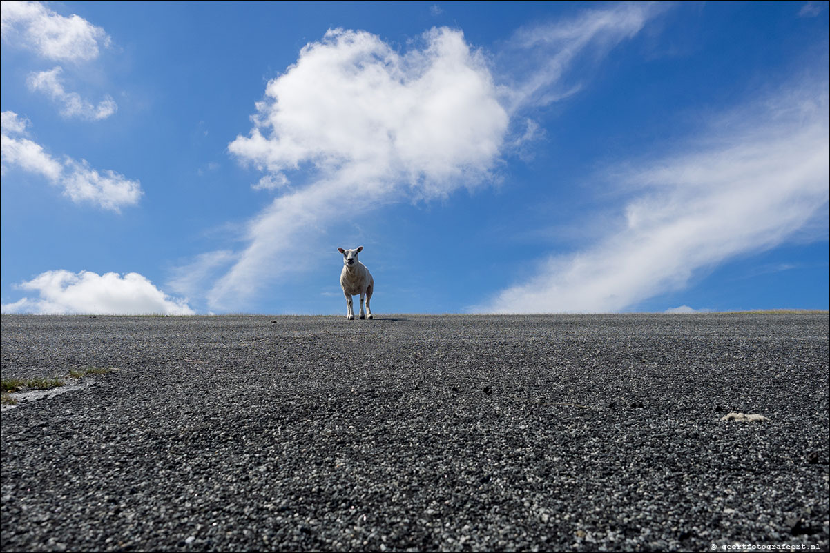 kustpad: lauwersoog - pieterburen - roodeschool