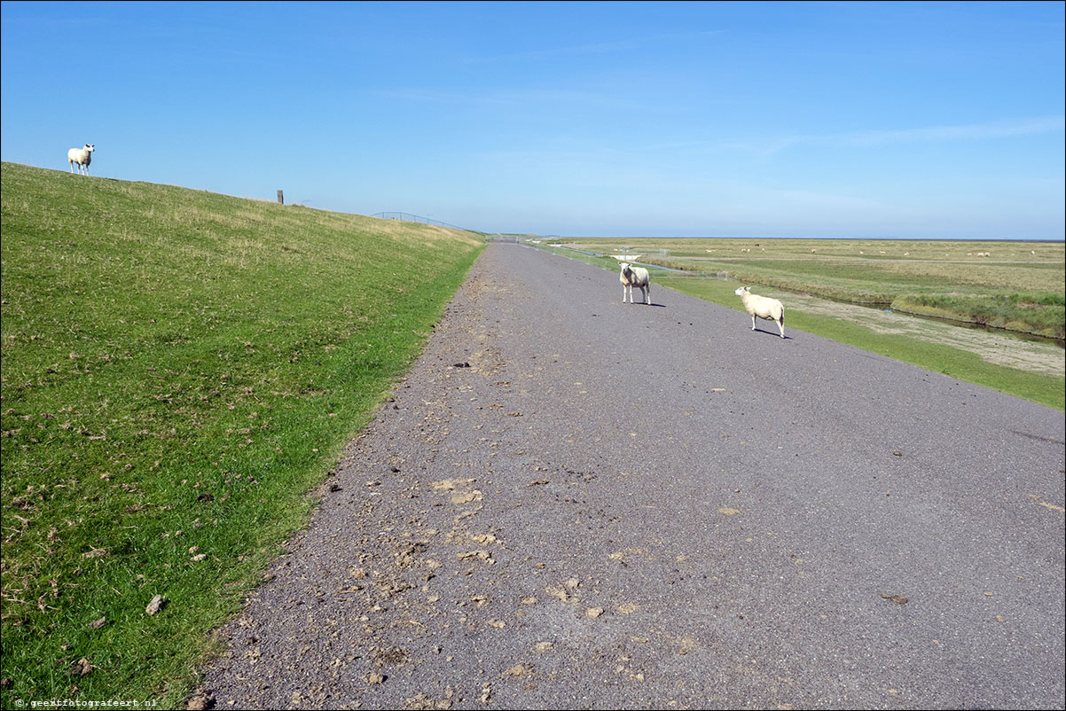 kustpad: lauwersoog - pieterburen - roodeschool