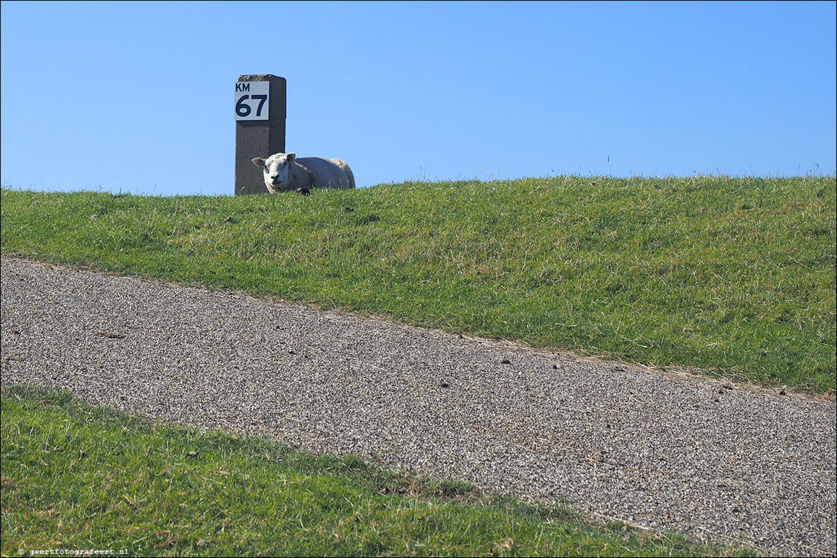 kustpad: lauwersoog - pieterburen - roodeschool