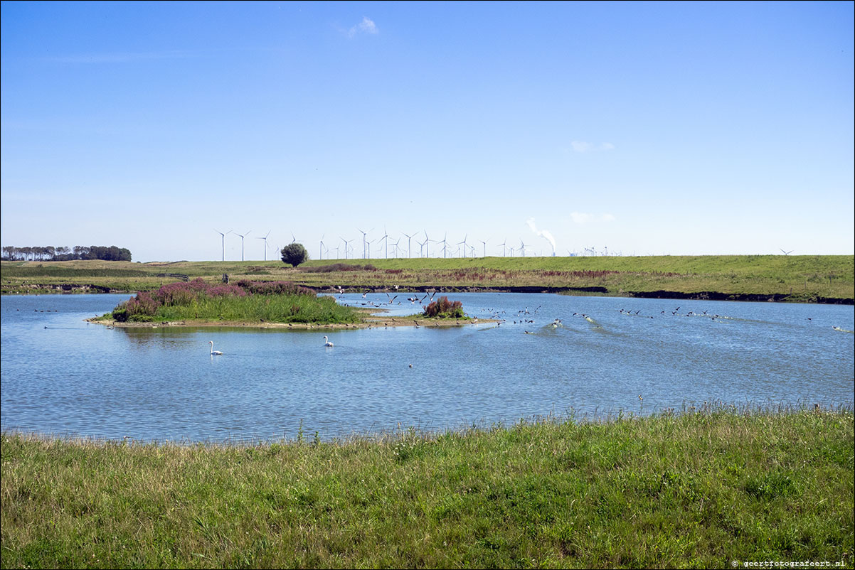 kustpad: lauwersoog - pieterburen - roodeschool