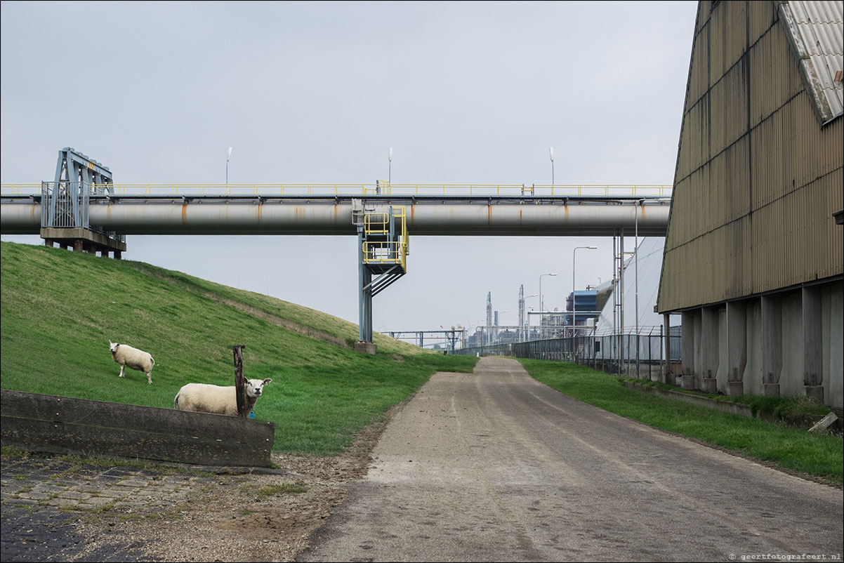 kustpad: roodeschool - spijk - bierum - holwierde - uitwierde - delfzijl - termunterzijl - hongerige wolf - drieborg - nieuwenschans