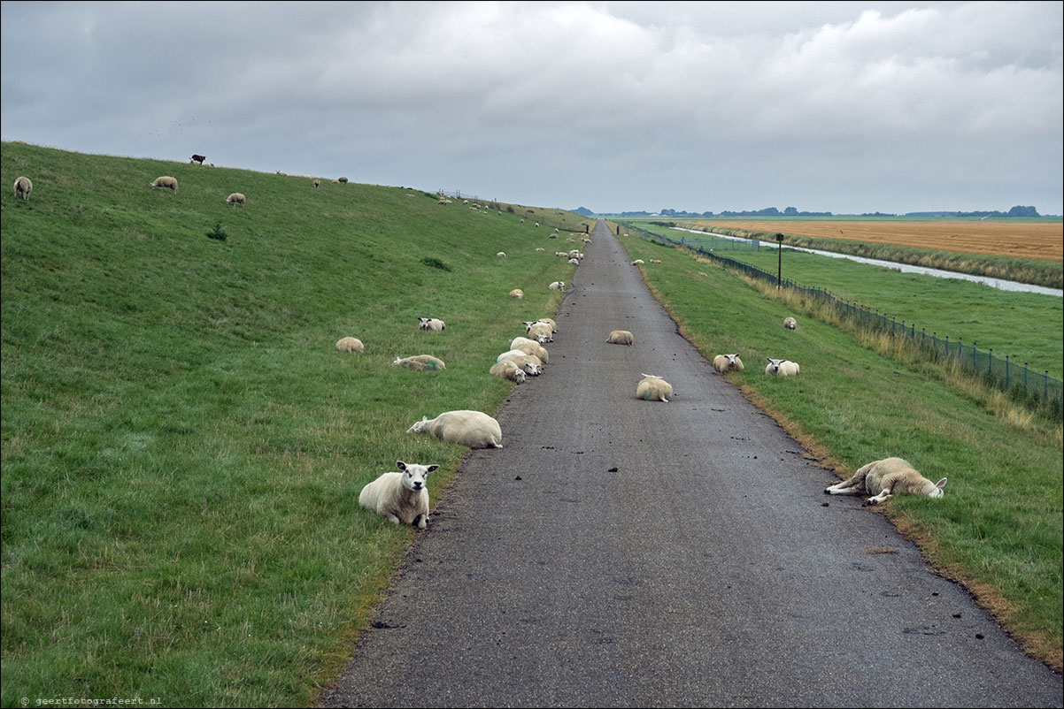 kustpad: roodeschool - spijk - bierum - holwierde - uitwierde - delfzijl - termunterzijl - hongerige wolf - drieborg - nieuwenschans